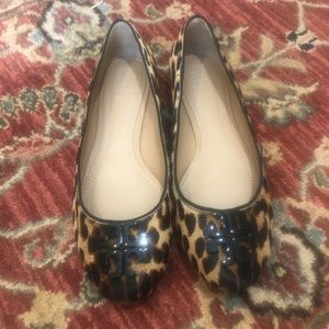 Tory Burch Leopard Flats. Size 8M